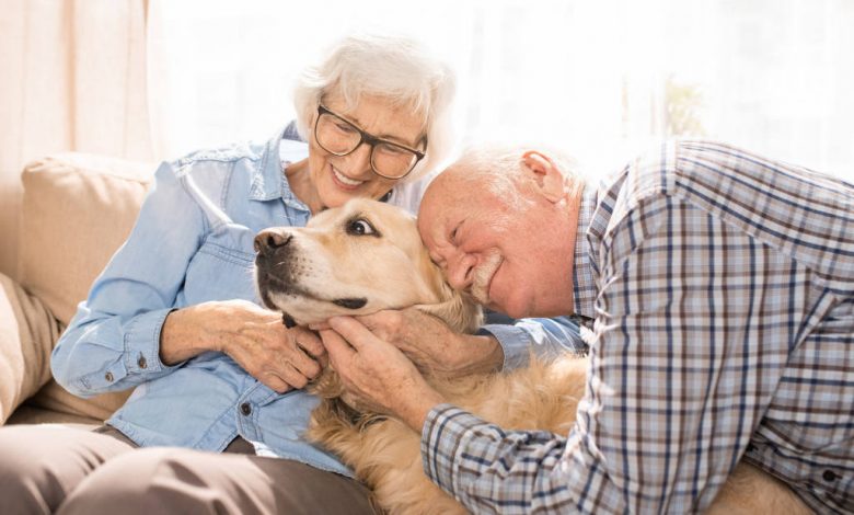 Benefícios dos pets para os idosos