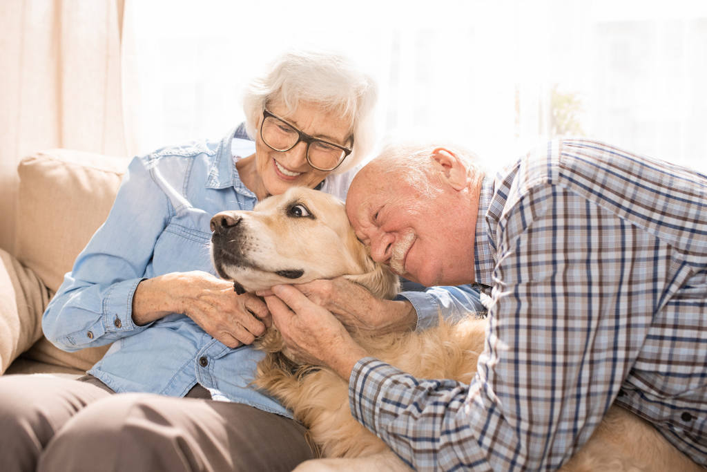 Benefícios dos pets para os idosos